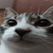 Toshiko_193's profile picture. 