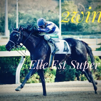 さがけいば推し🏇 #佐賀競馬写真部 YGG/リオンノワール(佐賀) /メインは九州産馬 UMATENA 3枠 萌ちゃん推し 📷D7500×SIGMA 70-200 sports ※写真の無断転載は辞めて下さい。使用する際は、一声お願い致します。