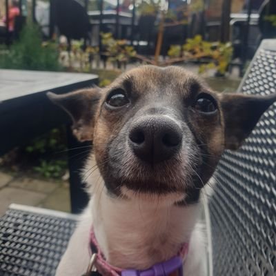 xJanemossx's profile picture. Yorkshire born and Bred