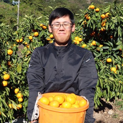 長与町というところで温州みかんと 中晩柑などの柑橘類を栽培してます🍊