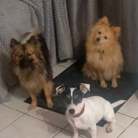 Sbg (@soniaborey) 's Twitter Profile