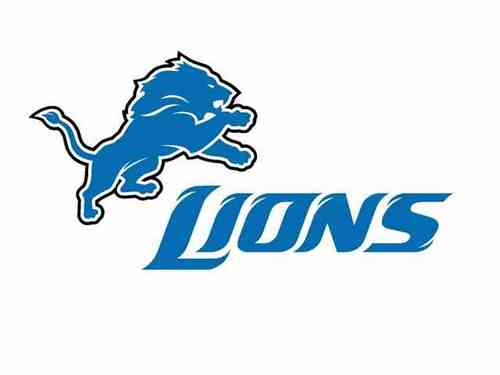 Lions Fan and Democrat