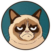 GrumpyCat_Coin(@Grumpycat_Coin) 's Twitter Profileg