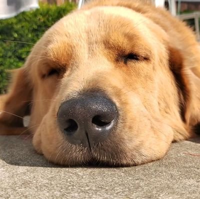 _poliko_'s profile picture. 