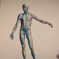 Birnenbot🍐🥧 (@diefriedenbirne) Twitter profile photo