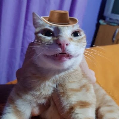 baker_thom26144's profile picture. 