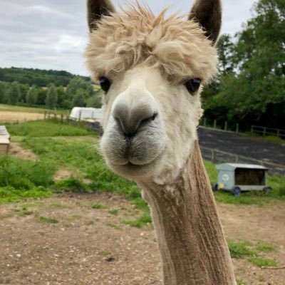 MarkianVC's profile picture. VC | Startups | Growth | Media