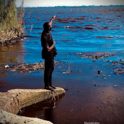 ChiNayDu1's profile picture. A content Creator
photographer
videographer .