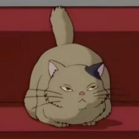 お餅Lv.3 (@omochi09090909) 's Twitter Profile