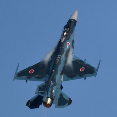 フタヒャクトーエン (@exBWfHooO3pYJsO) / Posts / X