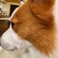 duh? (@baleyyoo) 's Twitter Profile