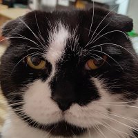 Rei (@3akuamarin) 's Twitter Profile