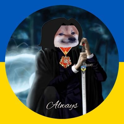 russia is a terrorist state, and it is committing genocide of Ukrainians and waging its brutal unprovoked war. #StandWithUkraine💙💛
Prof. Fella Snape. Always🖤