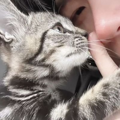 miemissluv's profile picture. ✨✨✨