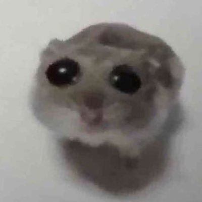 didgeさんのプロフィール画像