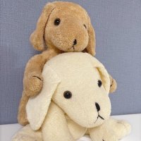 きりん (@gp_qbb5) 's Twitter Profile Photo