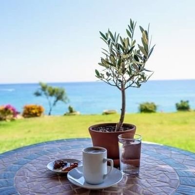 Z640fb's profile picture. Zed Journey! learn by sharing | @thewebdart

@build_in_crowd