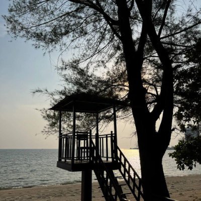 Cherry15613's profile picture. 