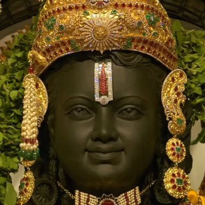 abhicane's profile picture. Take every chance you get in life, because some things only happen once !🌞