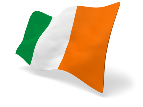 DailTrib's profile picture. Where the TDs get their news!