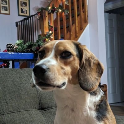 Unipoop4348's profile picture. get Trudeau out of office