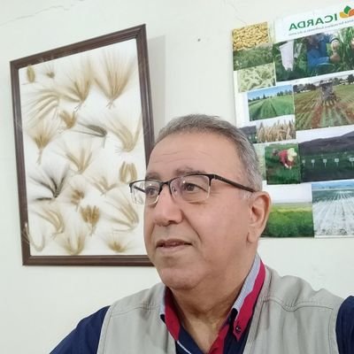 ICARDA - LEBANON 🇱🇧
Cosultant-Barley Breeding