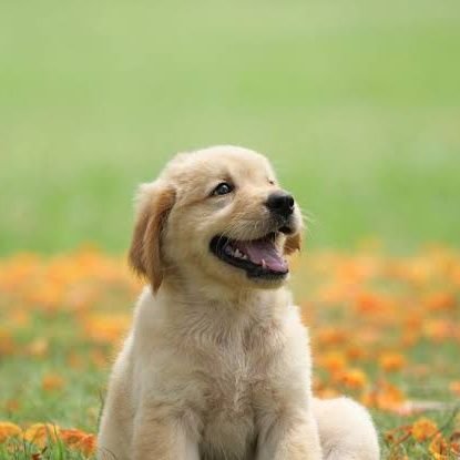 KemiAdedoyin_'s profile picture. 