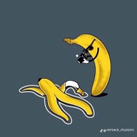 Volodymyr P (@volodym76944833) 's Twitter Profile Photo