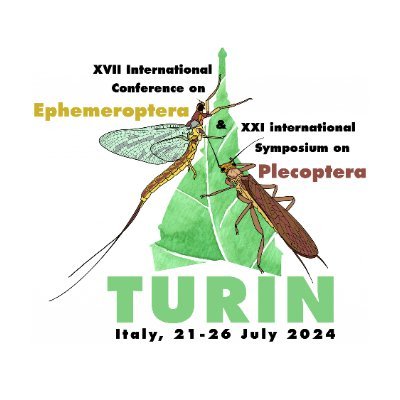 Welcome to the page of the 2024 International Joint Meeting on Ephemeroptera and Plecoptera