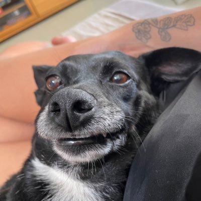 marimarques__'s profile picture. 