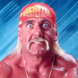 hulkamaniac1987 Profile Picture