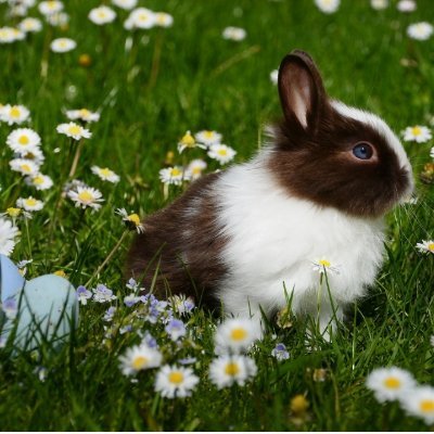 nadarbahi01's profile picture. 