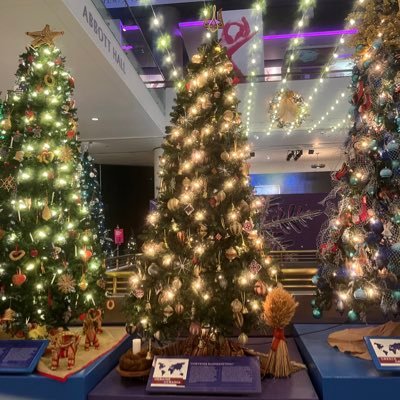 cldyertx's profile picture. Curious about people and what motivates them to make all their important and silly decisions.