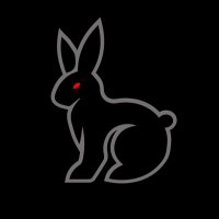 Black Bunnies Rugby Club (@blackbunniesrfc) Twitter profile photo