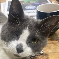 Babs102065 (@babs1020653102) 's Twitter Profile