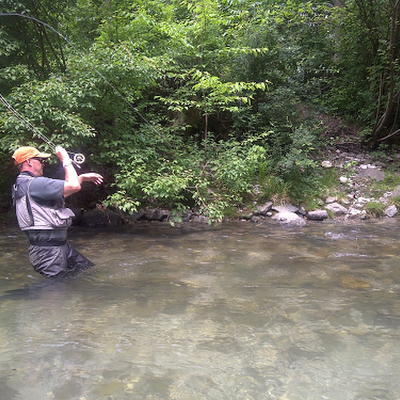 Tino69621's profile picture. fear no fish...🎣 ,🕊, ⚛, ✝ , ✡️, 🐶