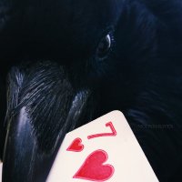 KalansPhantom π΄πΊπΌπ΄ββ οΈπ (@kalansphantomff) 's Twitter Profile