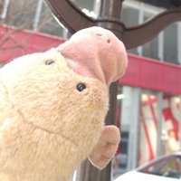 港区新橋カモノハシ (@kamonoha4im) 's Twitter Profile