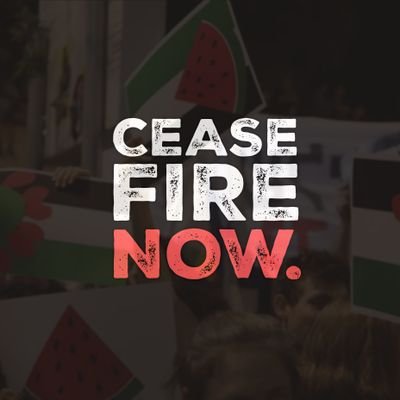 Head empty only #FreePalestine #CeasfireNow 🇵🇸