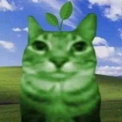 Blackaさんのプロフィール画像
