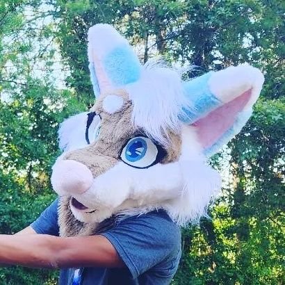 my age 22 Im a 🇺🇸+🇲🇽 Im a furry 18+ no minors NSFW AND SEX WORKER 😈 taken