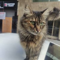 Derman (@derman41956892) 's Twitter Profile