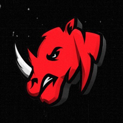 Rhyno Esports Profile