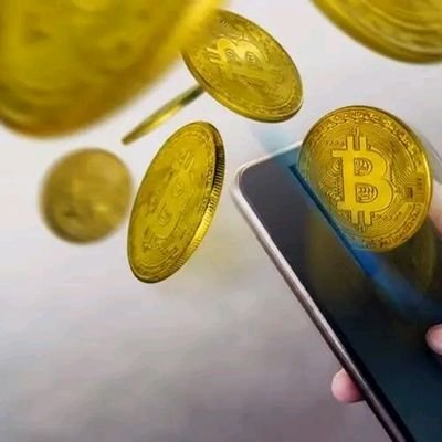 CryptoX417016's profile picture. 