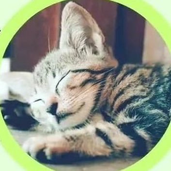 kwazileG's profile picture. I'm a software engineer