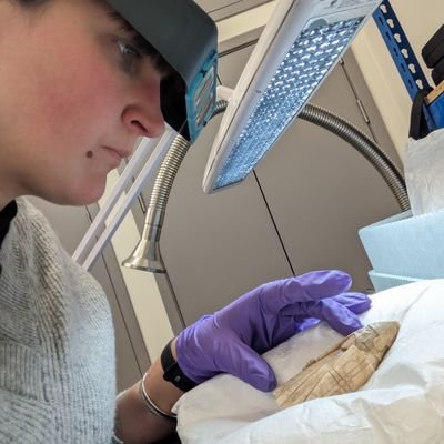 keeley_j_wilson's profile picture. fuck you guys, I'm a dolphin 🐬

https://t.co/1A0HIy04a9