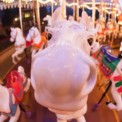 the In(diana) Jones of Amusement Park History. Go ride a carousel for me, thank you!