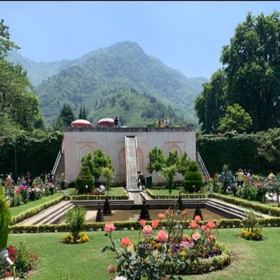 TasirIqbal1's profile picture. ‘Absence of evidence is not evidence of absence’ #CSIR NET-JRF AIR-50#Plant_Cytogenetics#Molecular_biology#RStudio