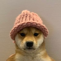 achichu (@achichuchu) 's Twitter Profile Photo achichu (@achichuchu) 's Twitter Profile Photo
