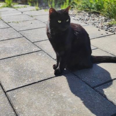 Mrmkm_'s profile picture. 